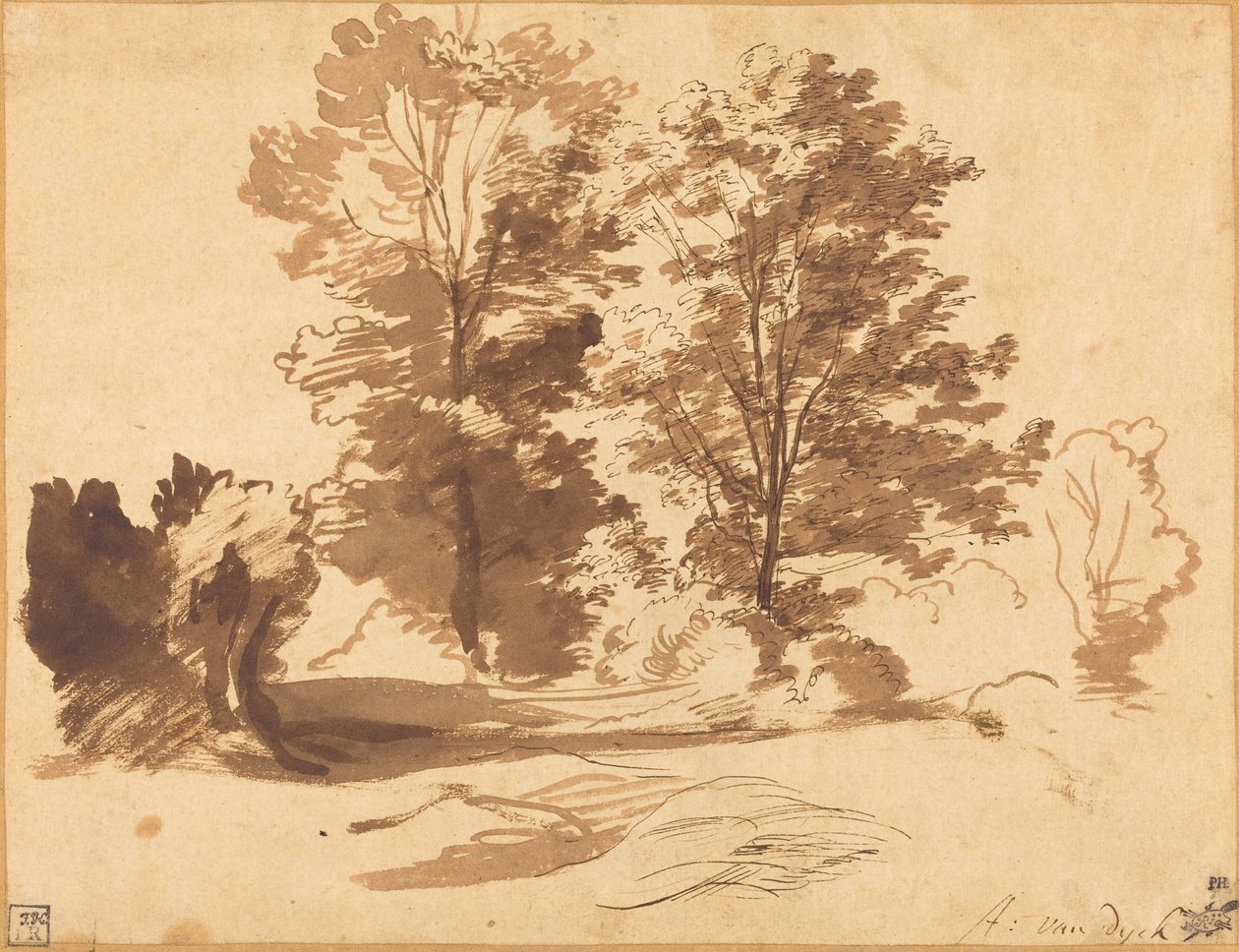 Kanten av ett trä av Sir Anthony van Dyck
