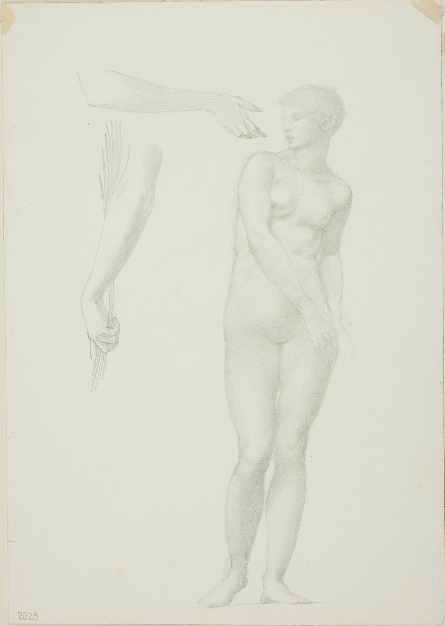 Stående kvinnlig naken och skisser av vapen av Sir Edward Burne Jones