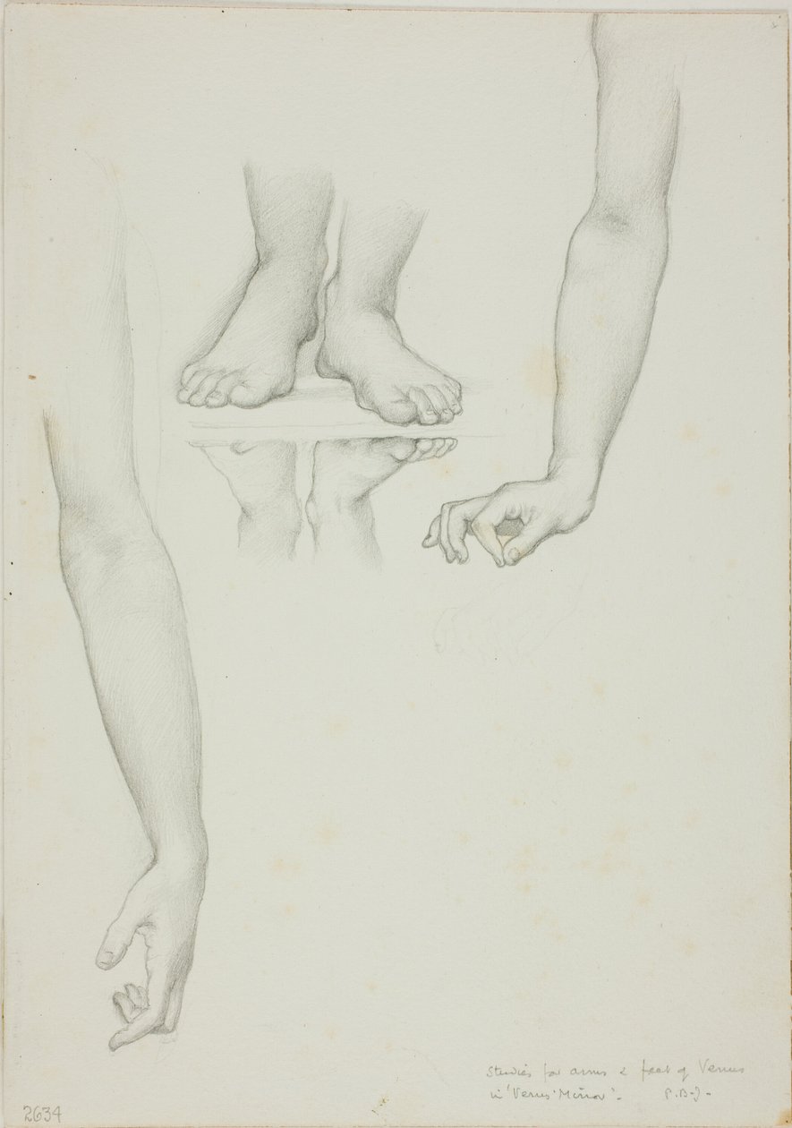 Studie för Mirror of Venus: Arms and Feet of Venus av Sir Edward Burne Jones