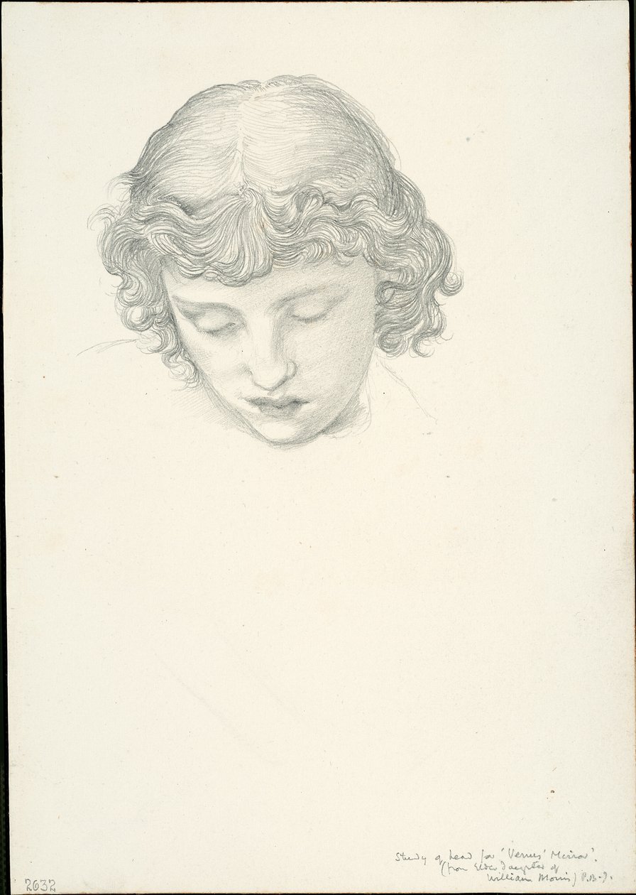 Studie för Mirror of Venus: Head av Sir Edward Burne Jones
