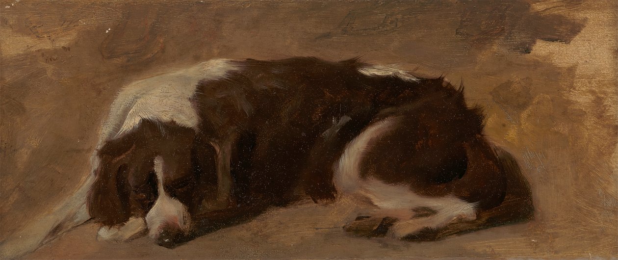 En spaniel som ligger ner av Sir Edwin Henry Landseer