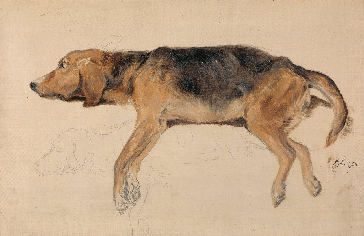 Studie av en liggande hund av Sir Edwin Henry Landseer