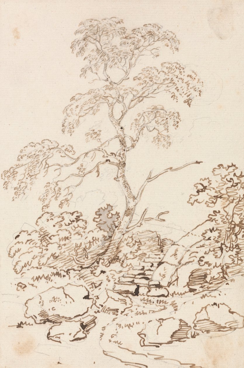 Träd för steg av Sir George Howland Beaumont seventh Baronet