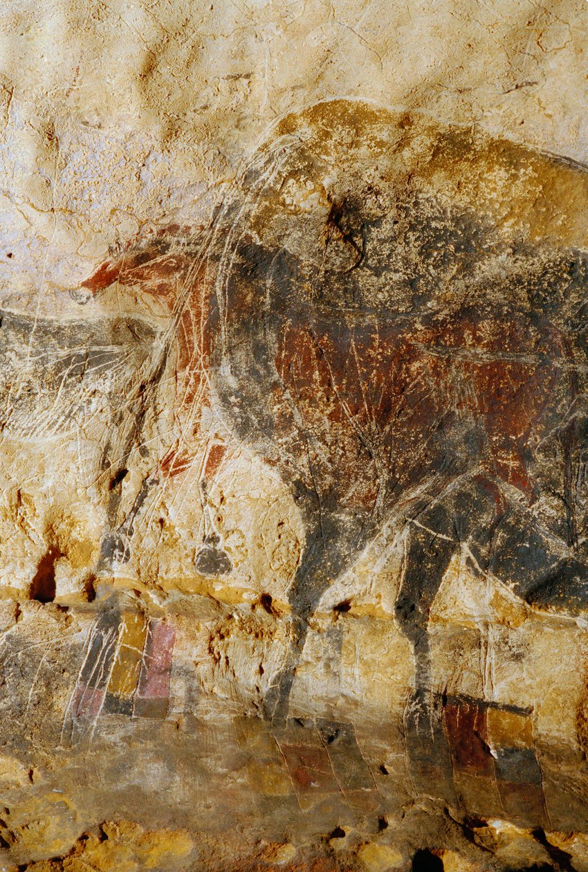 Detalj av graverad målning av hästhuvuden, Lascaux. av Sisse Brimberg
