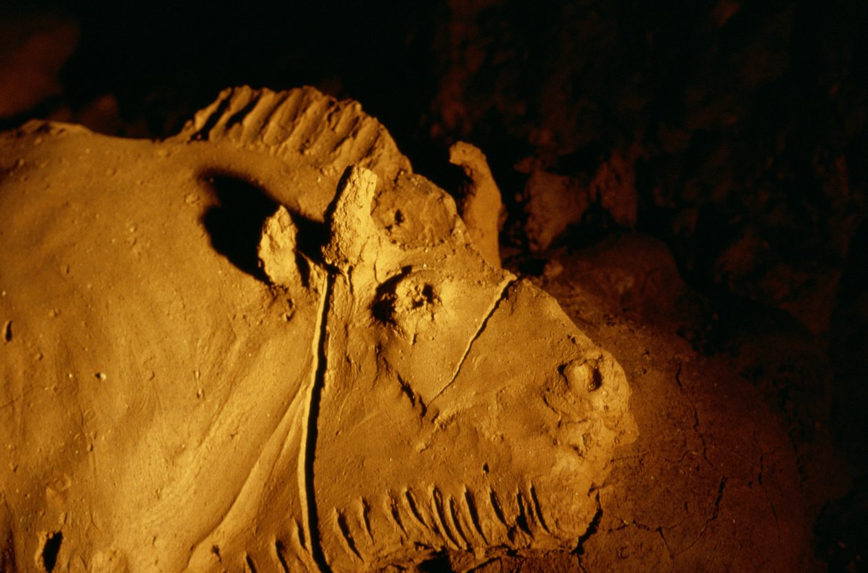 Detalj av en bisonoxe formad av lera för cirka 14 000 år sedan från Tuc d