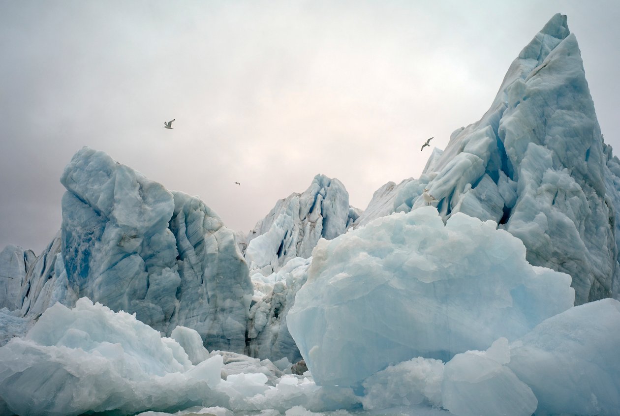 Isberg i Arktiska havet runt ön Spetsbergen, Norge, 2022 (foto) av Sisse Brimberg