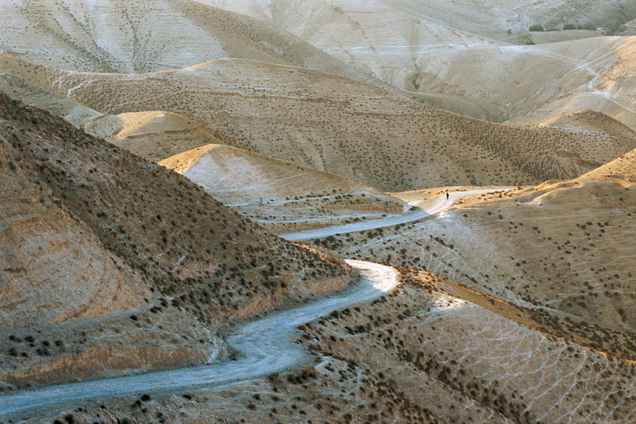 Israel, Judéen: Bild från Judéens kullar öster om Jerusalem, 2022 (foto) av Sisse Brimberg