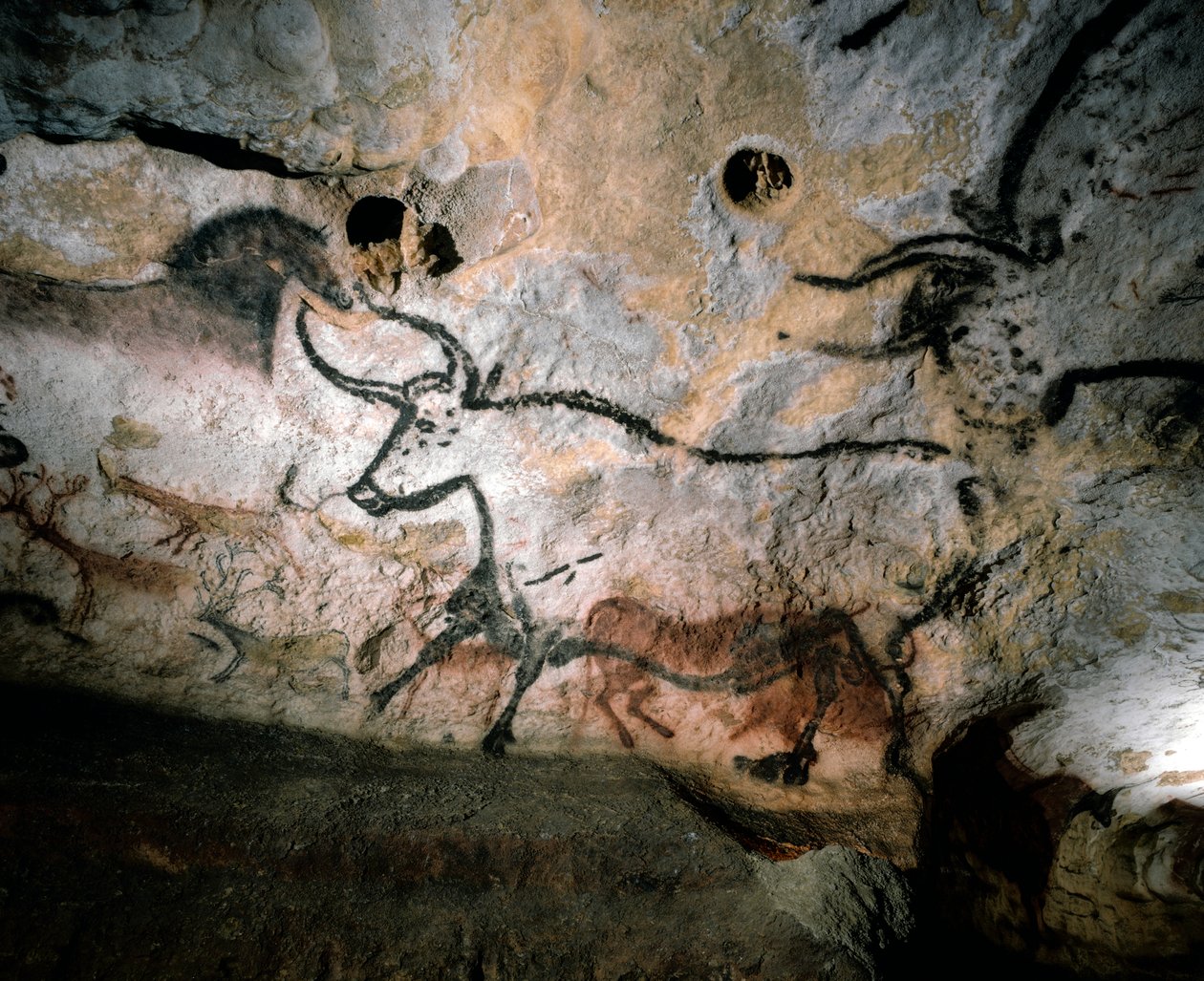 Paleolitisk konst av tjurar, hjortar och hästar på grottväggar av kalcit, Lascaux, Frankrike, 2022 (foto) av Sisse Brimberg