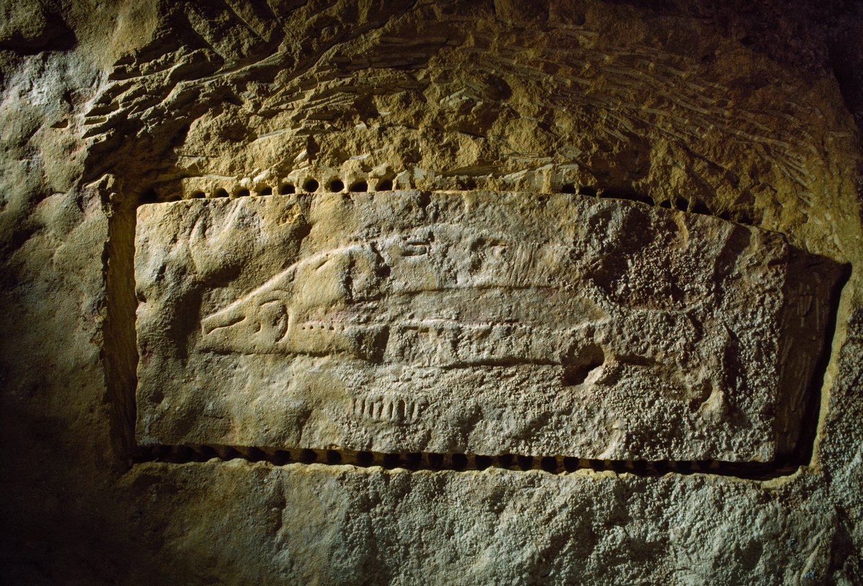 Förhistorisk grottristning föreställande en lax, från Abri du Poisson ("Fiskklippan She... av Sisse Brimberg