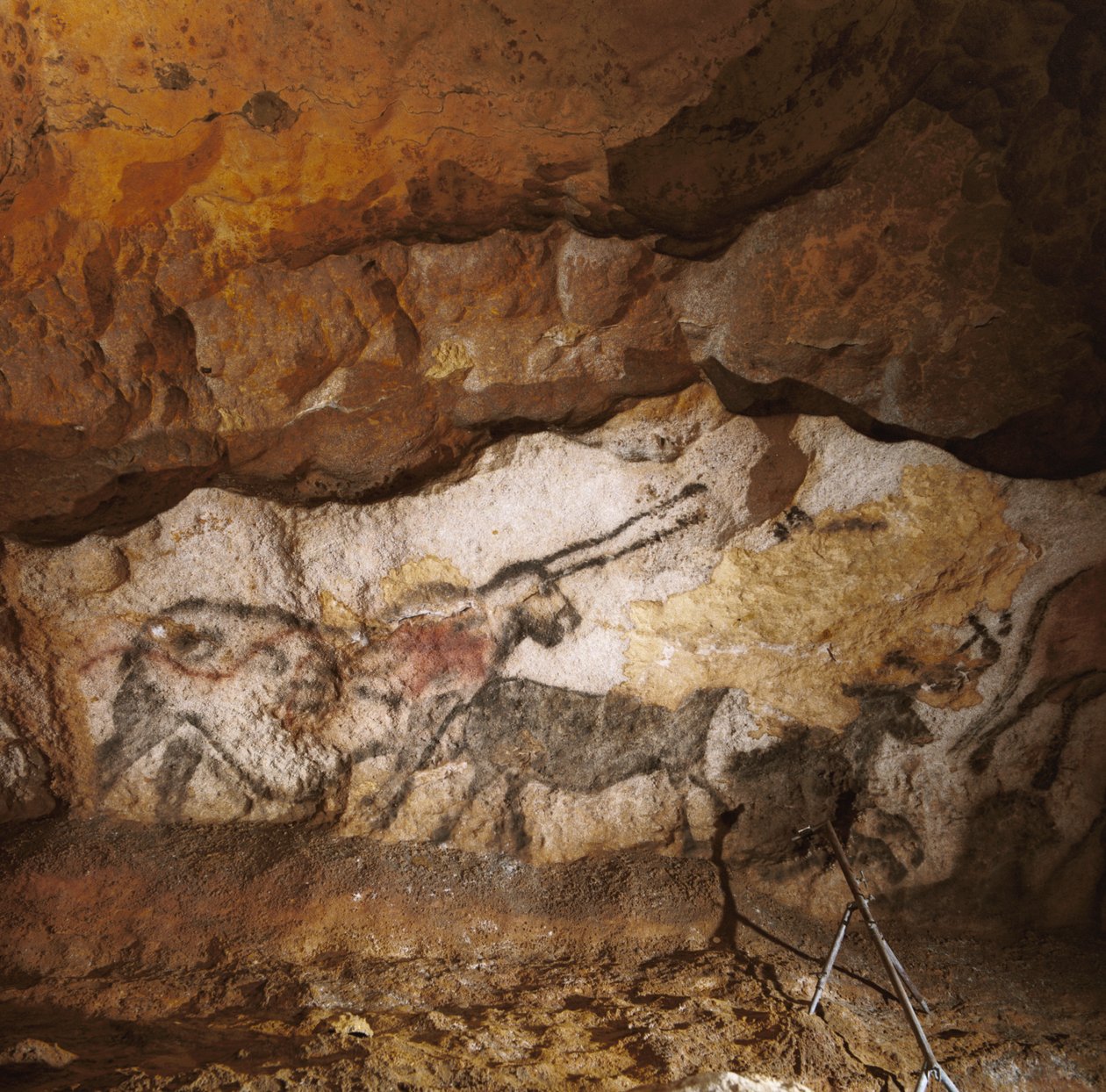 Den mytiska enhörningen i Lascaux målades för över 17 000 år sedan och täcker den vita kalkstenen... av Sisse Brimberg