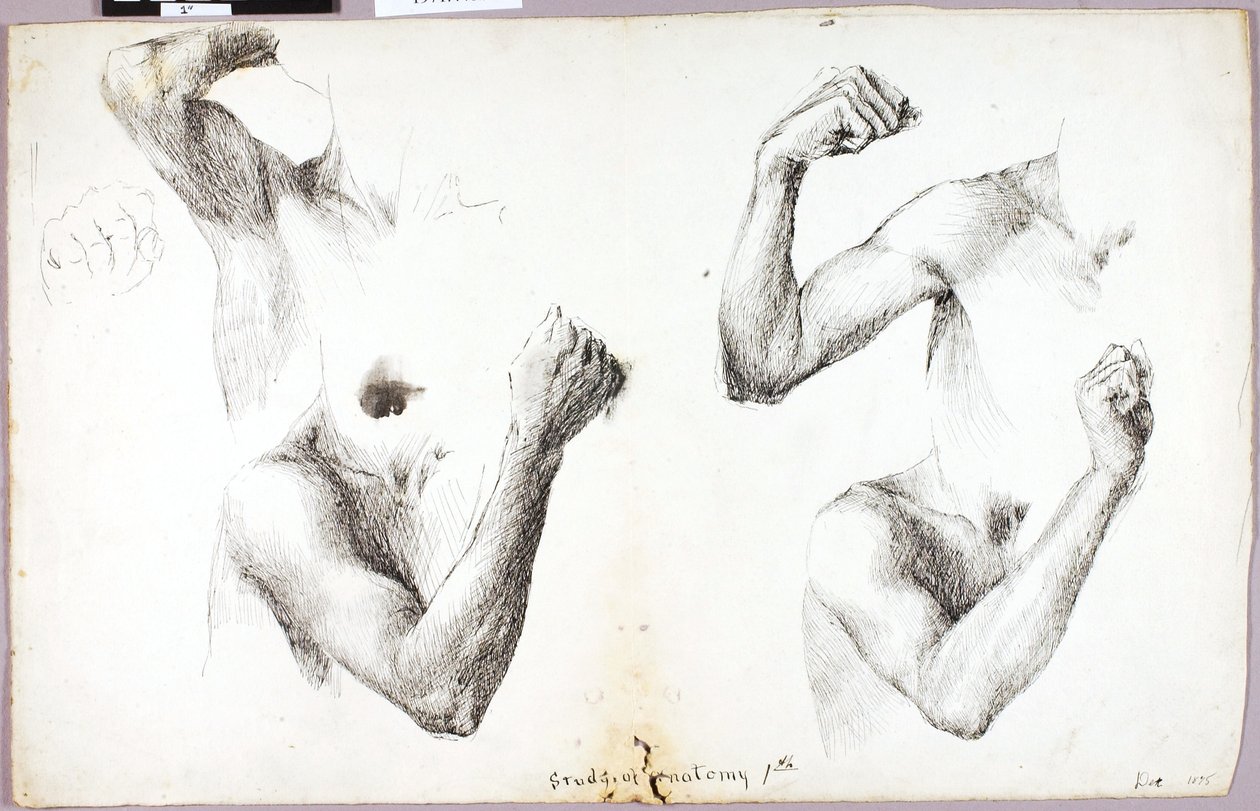 Four Arm Studies, #1 av Solon H. Borglum