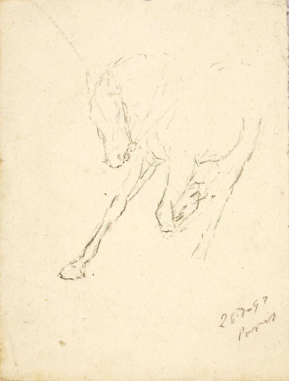 Häst av Solon H. Borglum