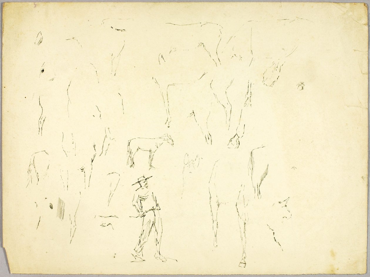 Studie av hästar av Solon H. Borglum