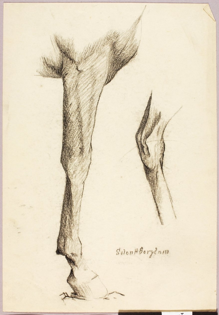 Studie av hästar av Solon H. Borglum
