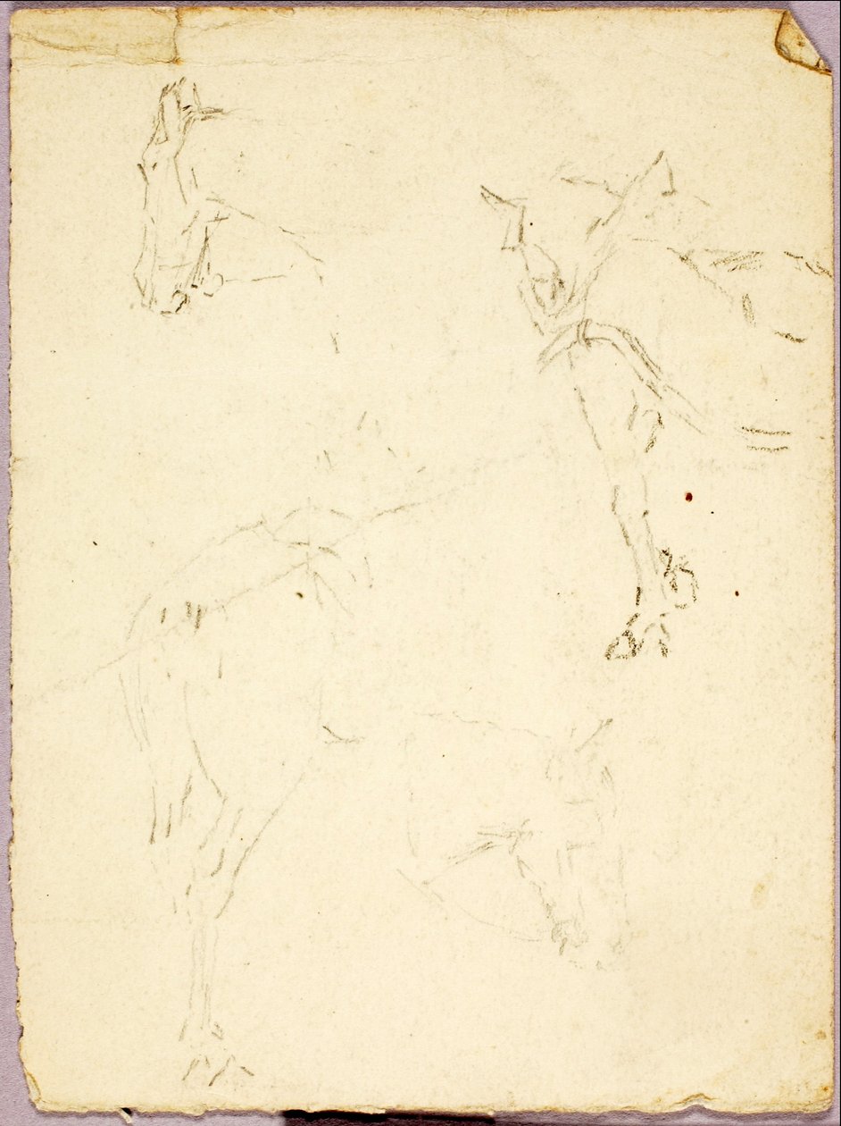 Hästar av Solon H. Borglum