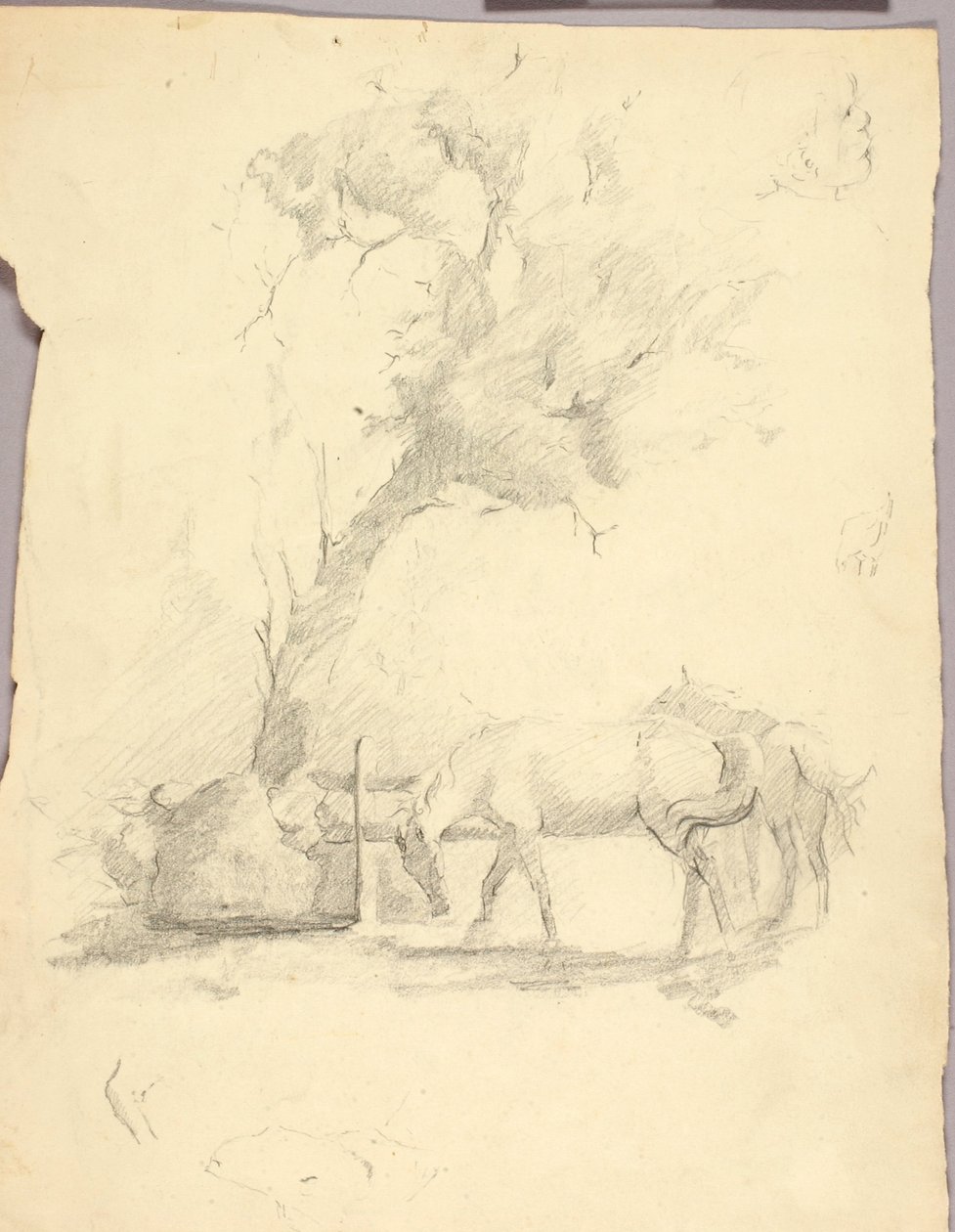 Hästar och träd av Solon H. Borglum