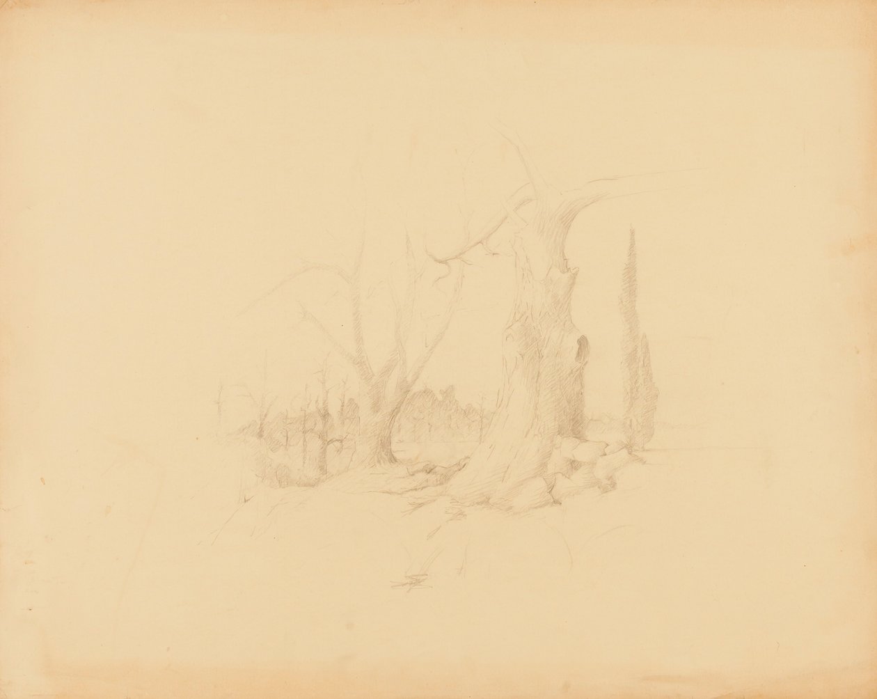 Landskap av Solon H. Borglum