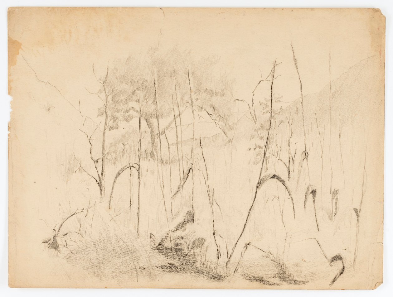 Landskap av Solon H. Borglum