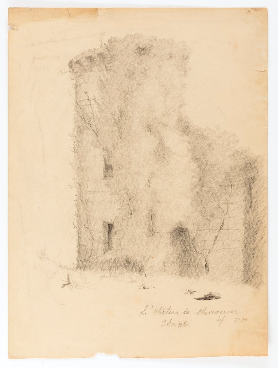 Le Chateau de Chevenevase av Solon H. Borglum
