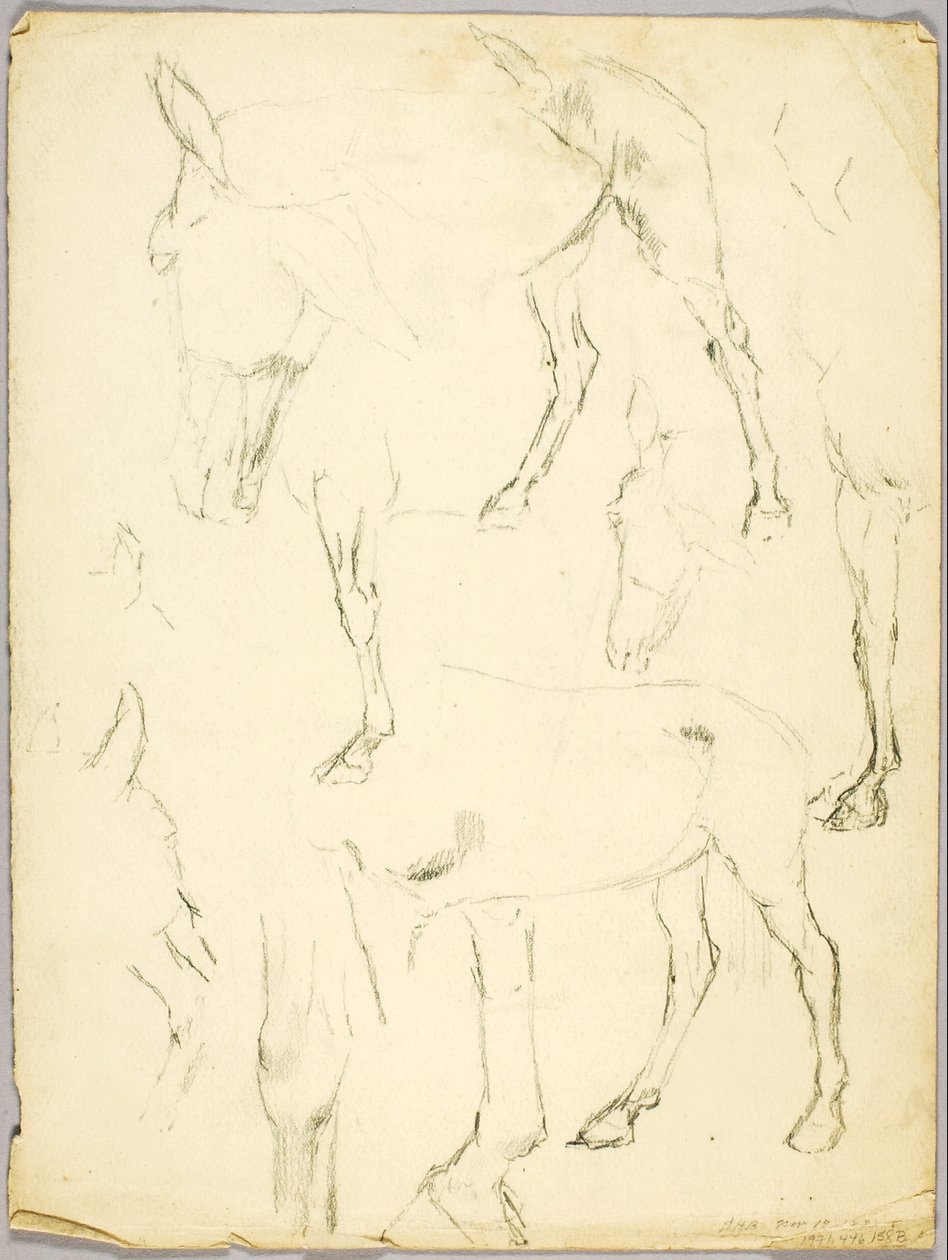 Porträttstudie, Häststudie av Solon H. Borglum