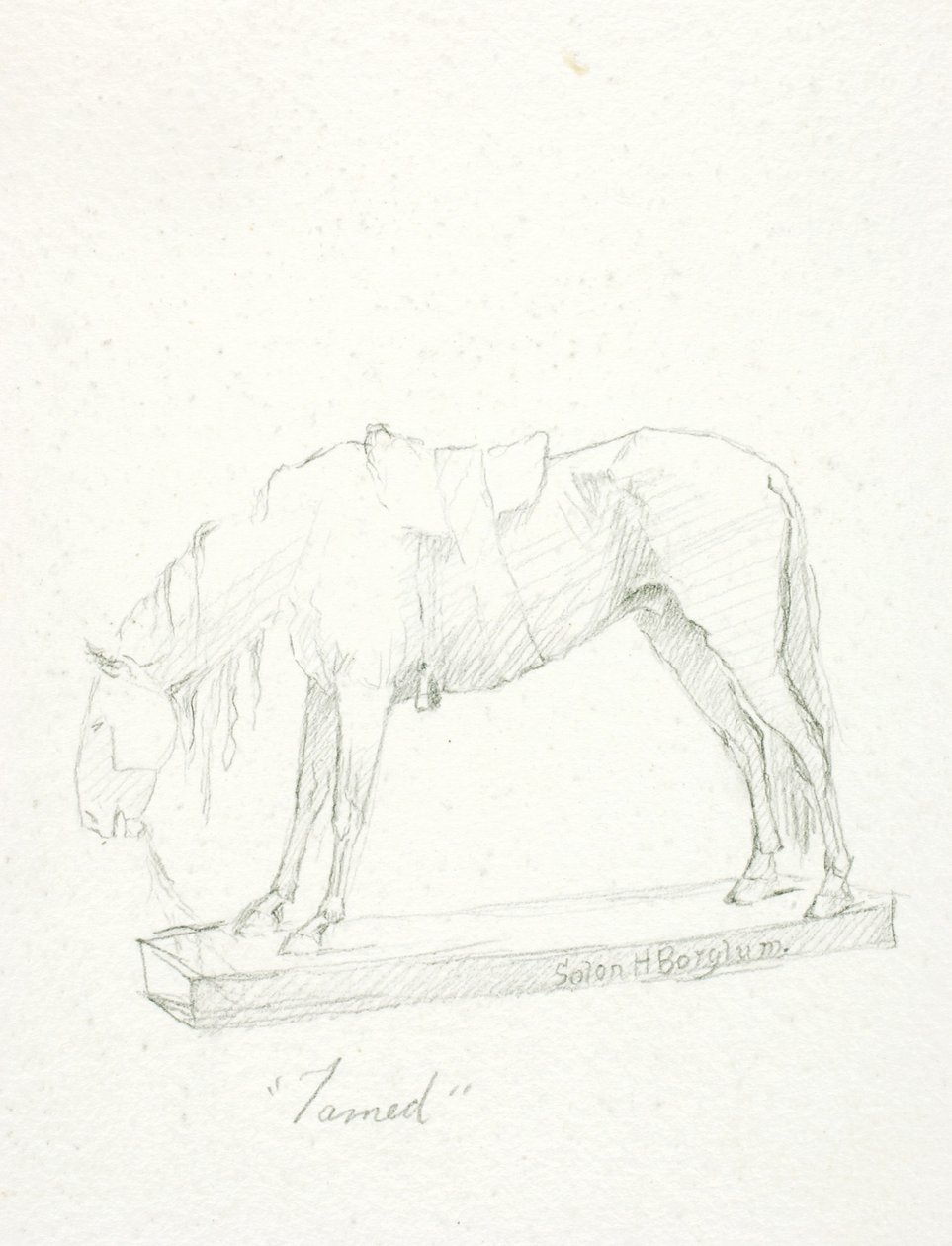 Tämjd av Solon H. Borglum