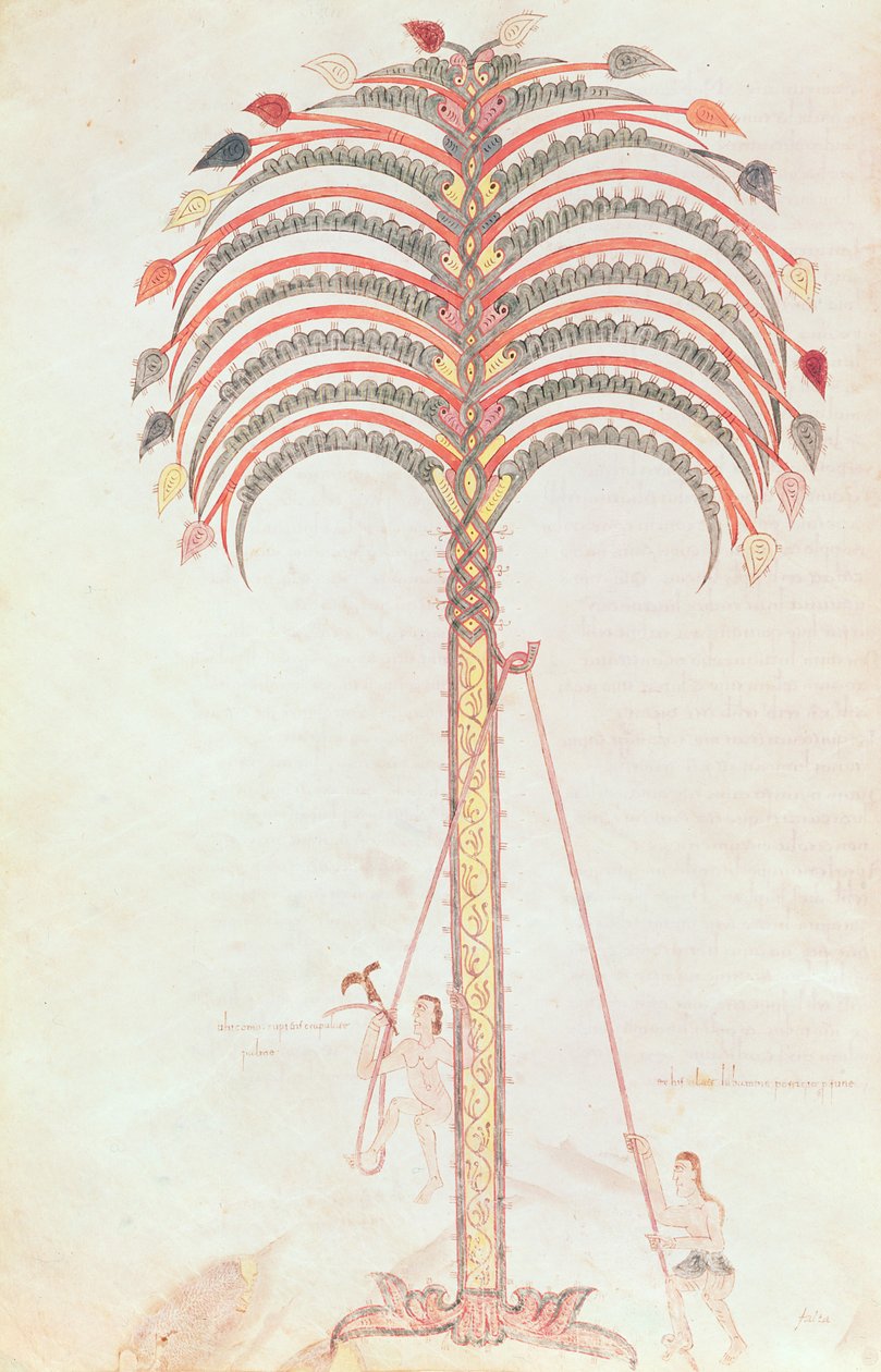 Fol.147v Palmbladets metafor, från Girona Beatus av Spanish School