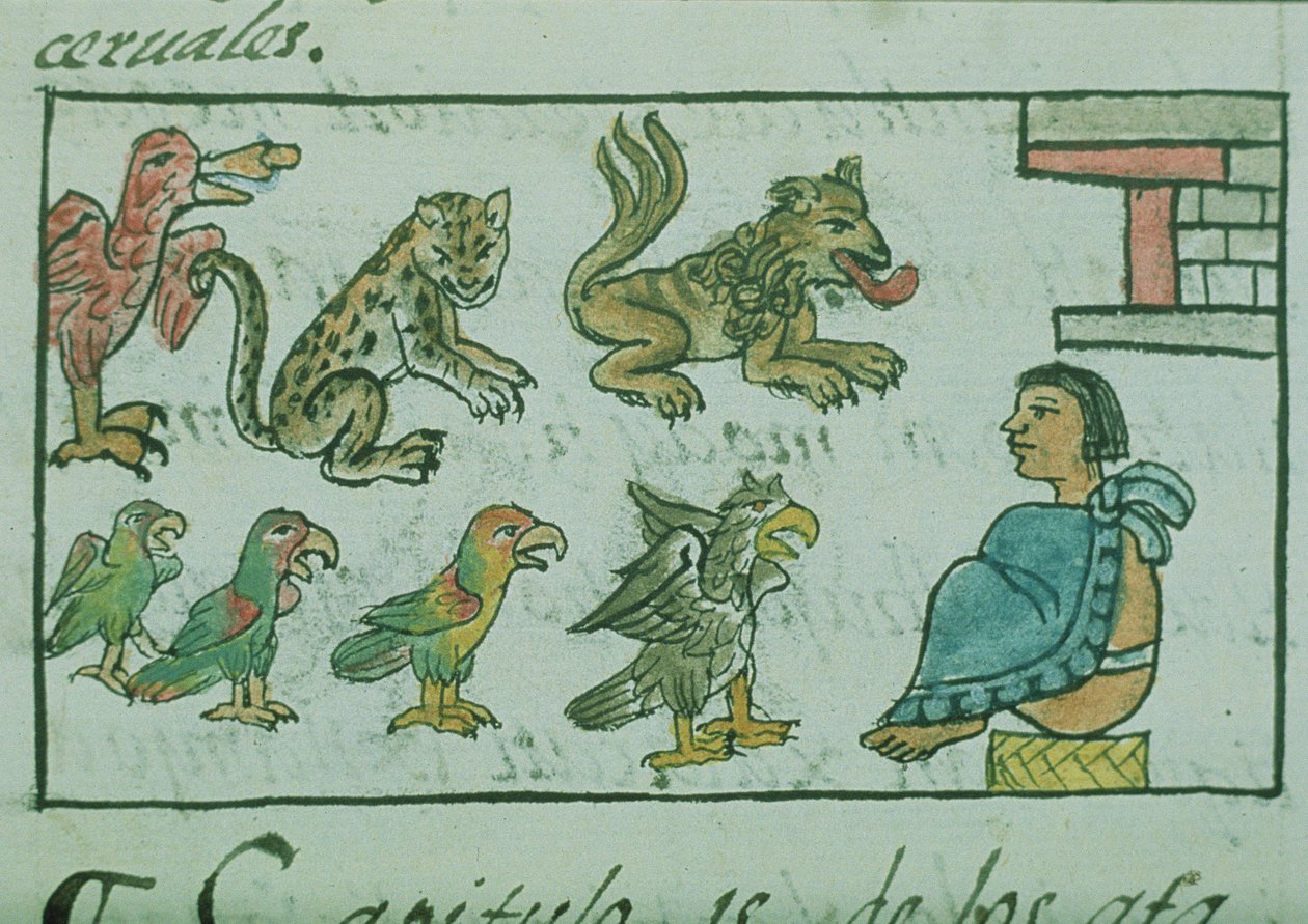 Fru Palat. 218-220 Bok IX Djur från den aztekiska kejsaren, från "Florentine Codex" av Bernardino de Sahagun, ca 1540-85 av Spanish School