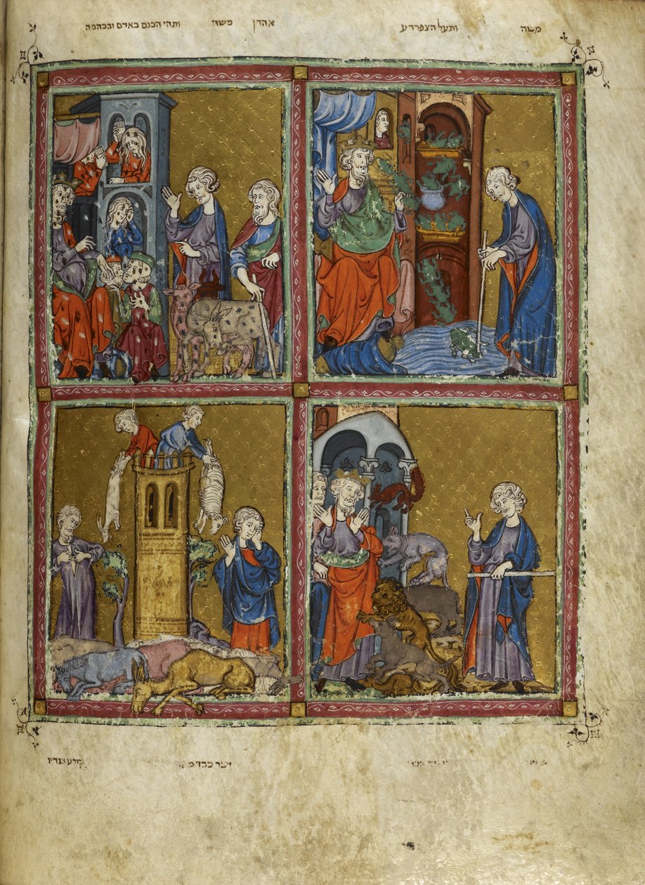 Lägg till. 27210, f.12v Scener från Exodus: Plågorna med löss, grodor, murrain och pest, illustrationer från 