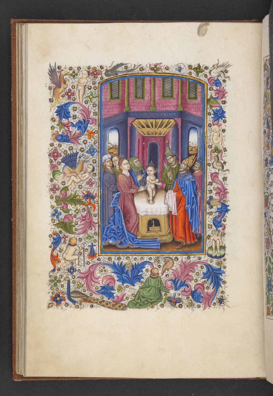 Lägg till MS 50004 f.41v The Circumcision, från en 