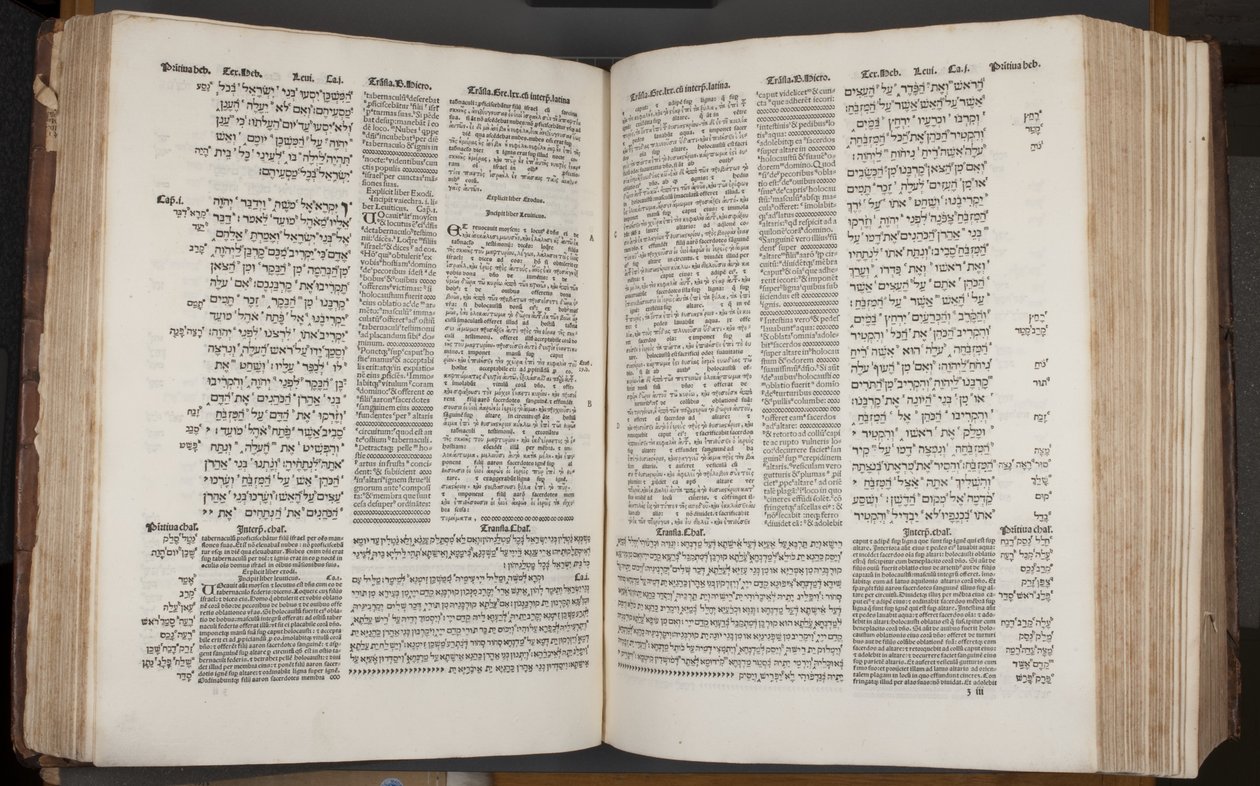 Complutensian Polyglot Bible, tryckt av Arnao Guillen de Brocar (gravyr) av Spanish School