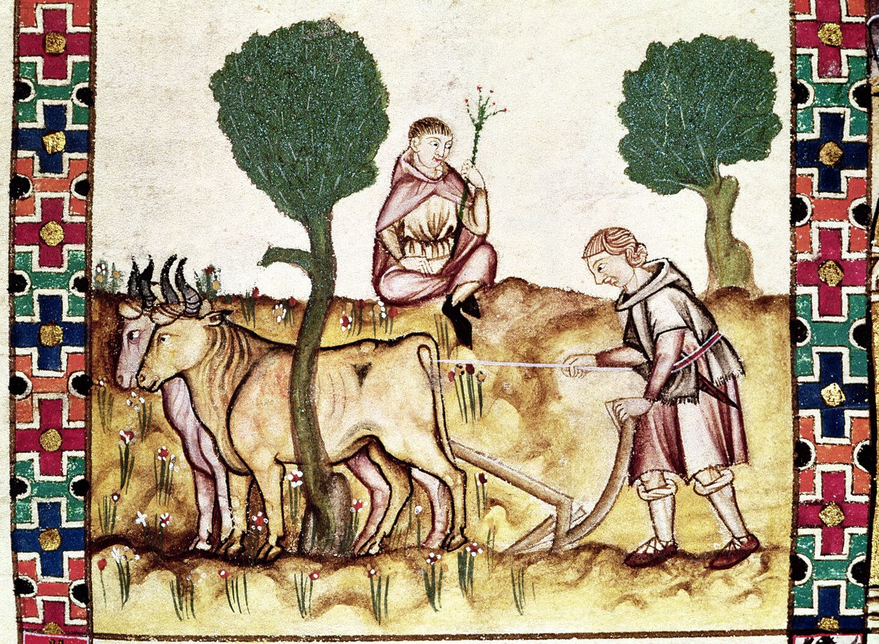 Fol.237r En bonde som lärde sin son att plöja en åker av Spanish School