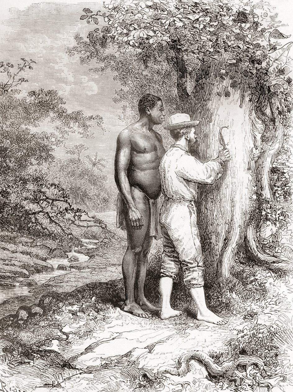 Jules Crevaux, under sin utforskning av Franska Guyana 1878, ristade sina initialer på ett träd på stranden av floden Oyapock eller Oiapoque av Spanish School