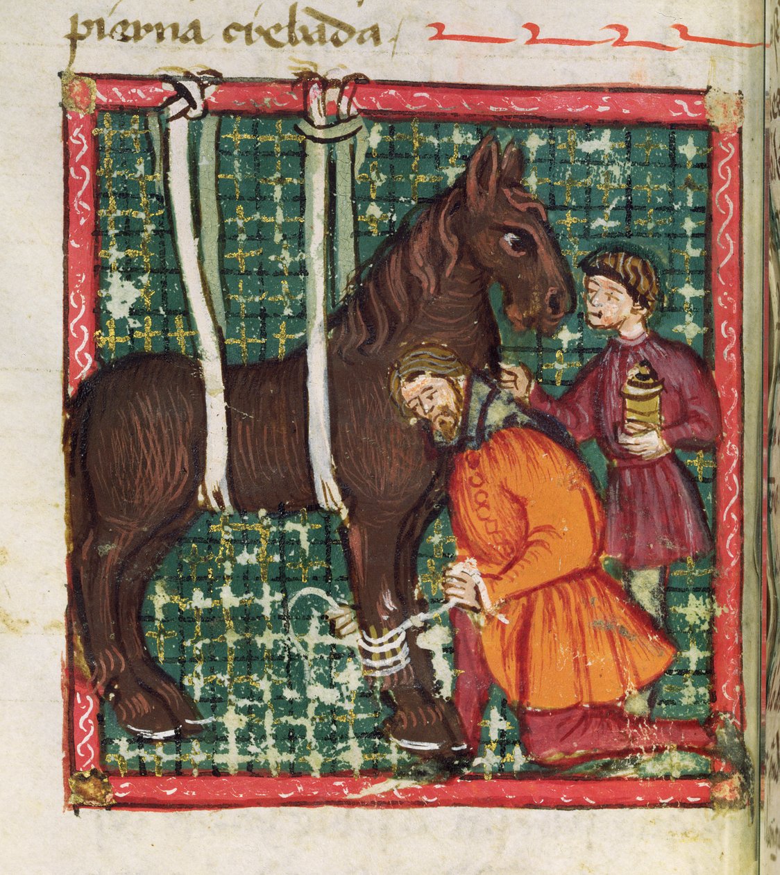 Ms 214 fol.31v Lagar den frakturerade mellanhandsbenen på en häst, från Libro de Menescalcia y Albeyteria av Juan Alvarez, ca 1390 av Spanish School