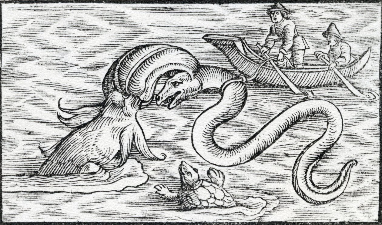 Sjömonster, 1511 av Spanish School