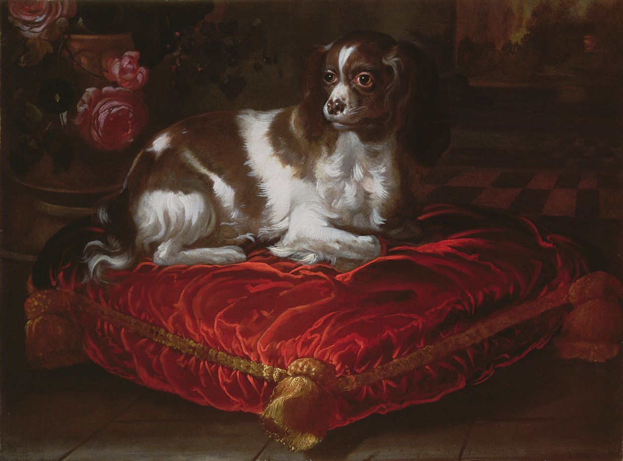 Spaniel på en kudde av Spanish School