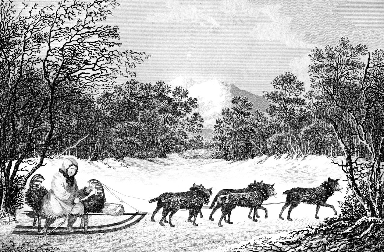 Sättet att resa på vintern i Kamtschatka, 1800-talet. av Sparrow