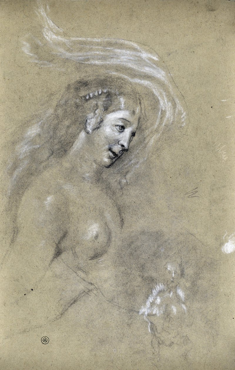 Studie av kvinnans profil (ritning) av Stanislas Torrents y de Amat