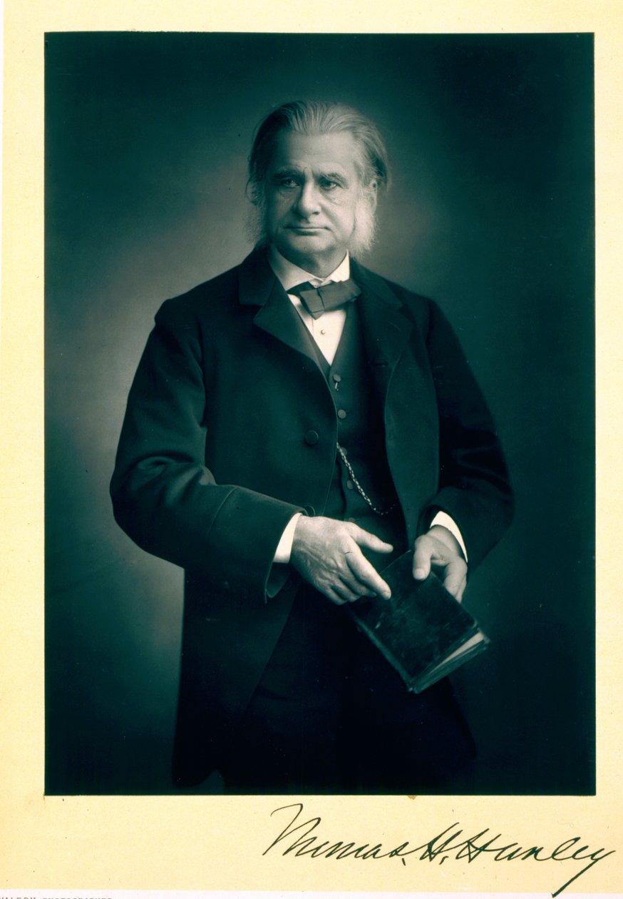 Professor Thomas H. Huxley (1825-95), biolog, porträttfotografi av Stanislaus Walery