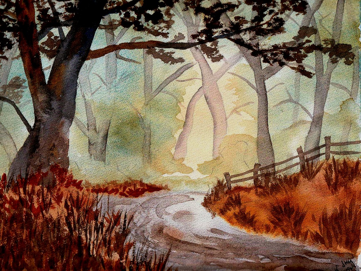 Den förtrollade skogen av Steegs Art Karin