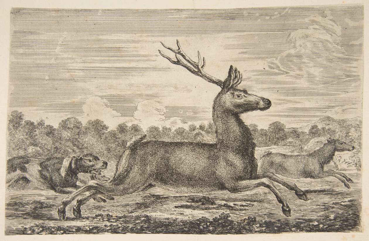 Hundar som jagar en hjort och en då, ca. 1654. av Stefano della Bella