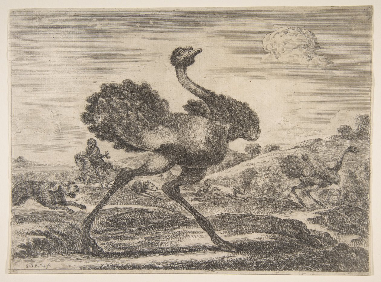 Strutsjakt, från Animal hunts Jagar på olika djur, ca. 1654. av Stefano della Bella