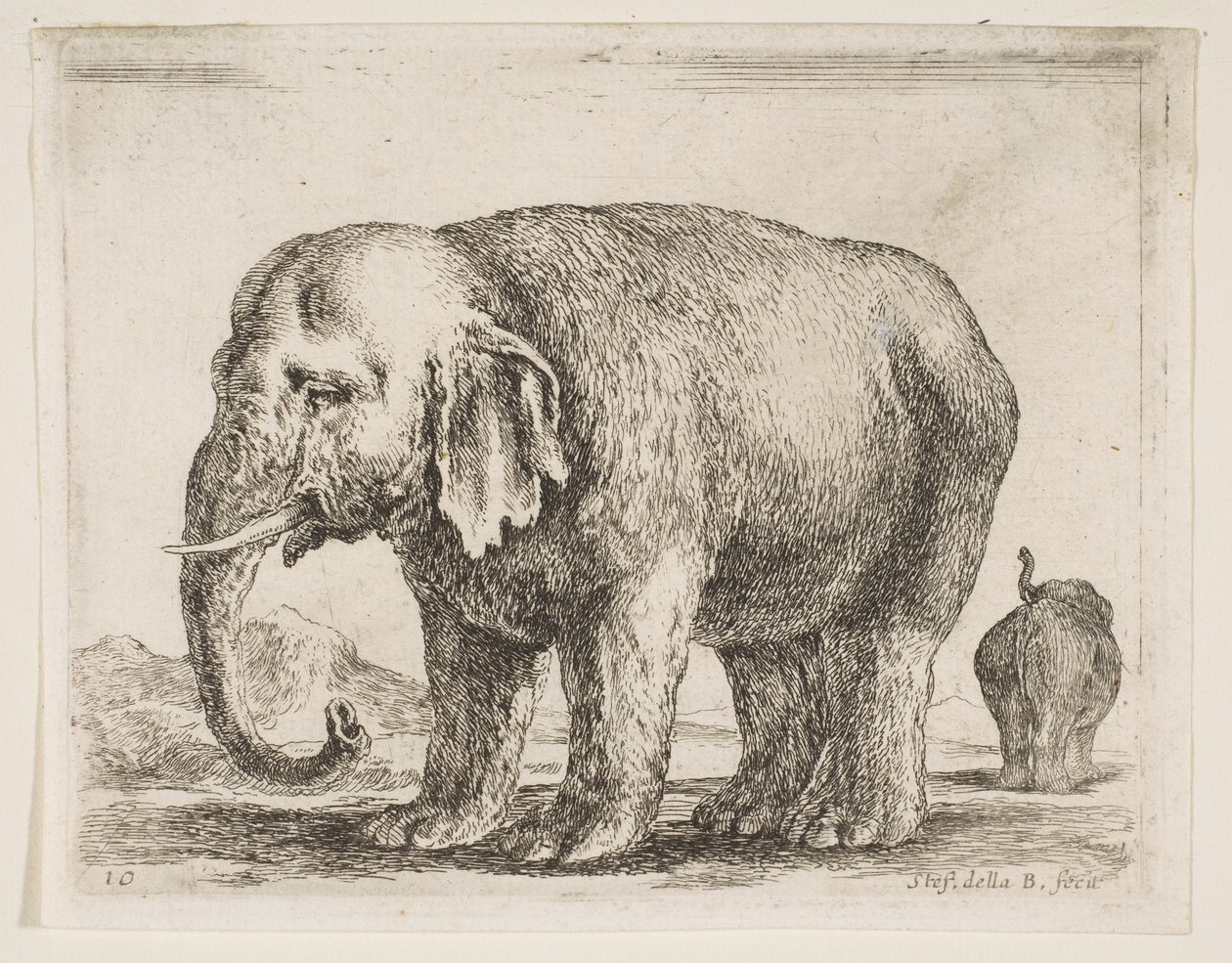 Tallrik 10: elefant, från Diverse djur Diversi animali, ca. 1641. av Stefano della Bella