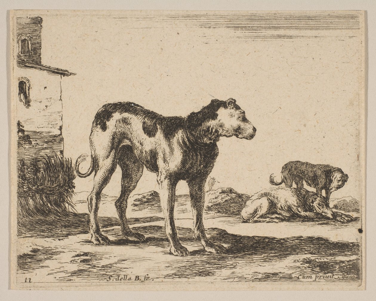 Tallrik 11: hundar, från Diverse djur Diversi animali, ca. 1641. av Stefano della Bella