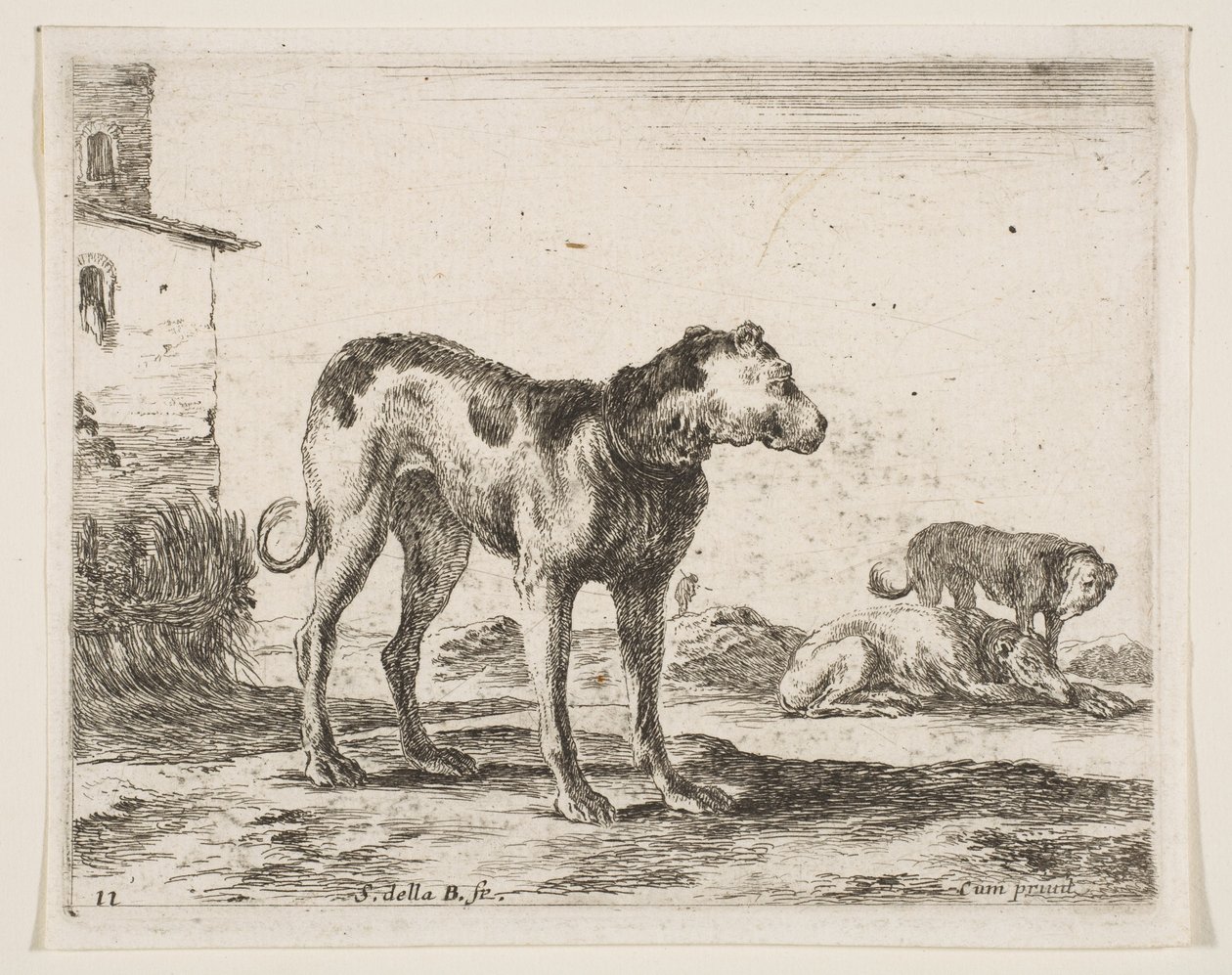 Tallrik 11: hundar, från Diverse djur Diversi animali, ca. 1641. av Stefano della Bella