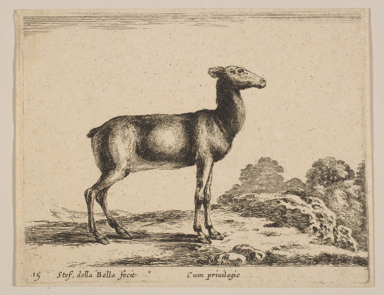 Tallrik 15: doe, från 