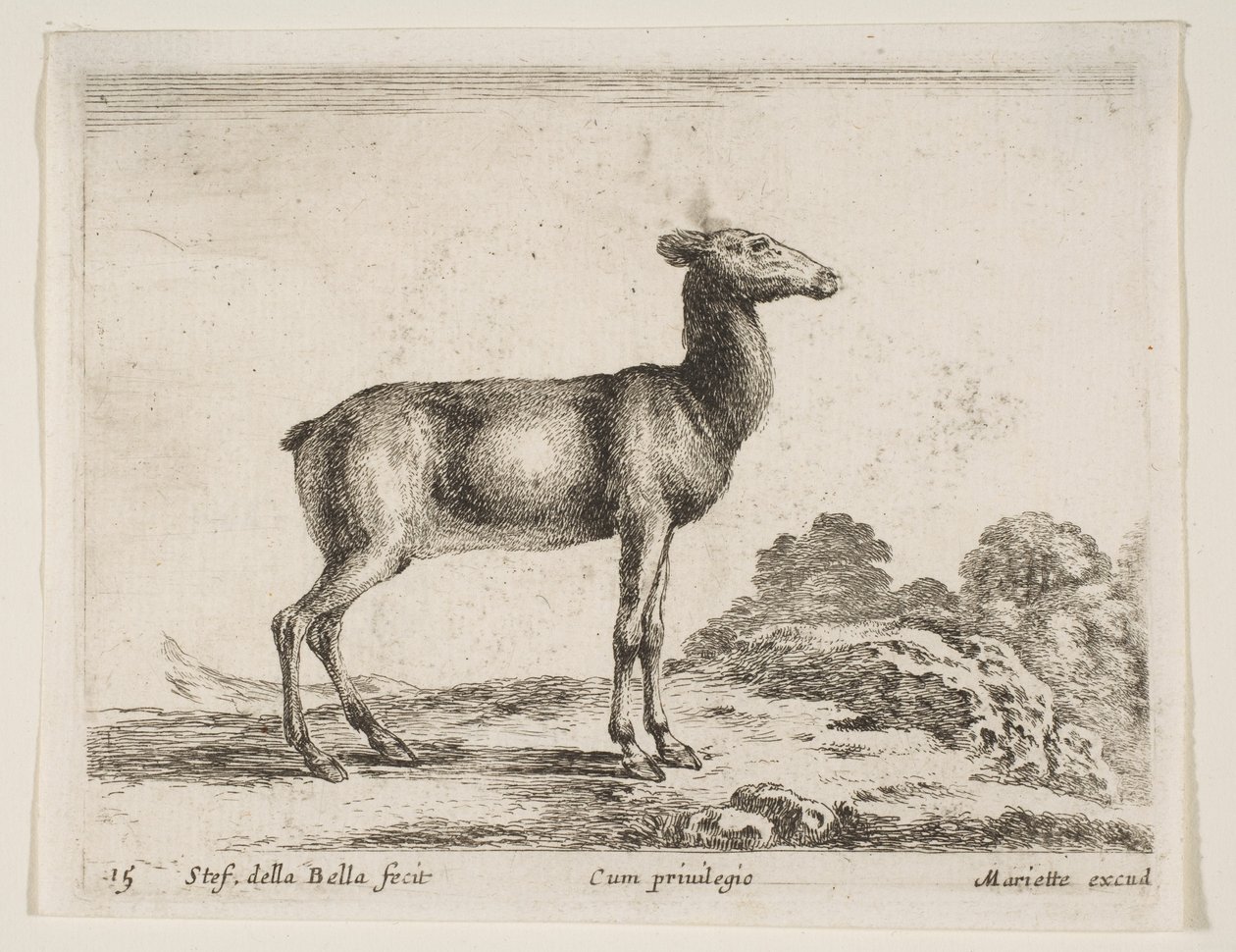 Tallrik 15: doe, från Diverse djur Diversi animali, ca. 1641. av Stefano della Bella