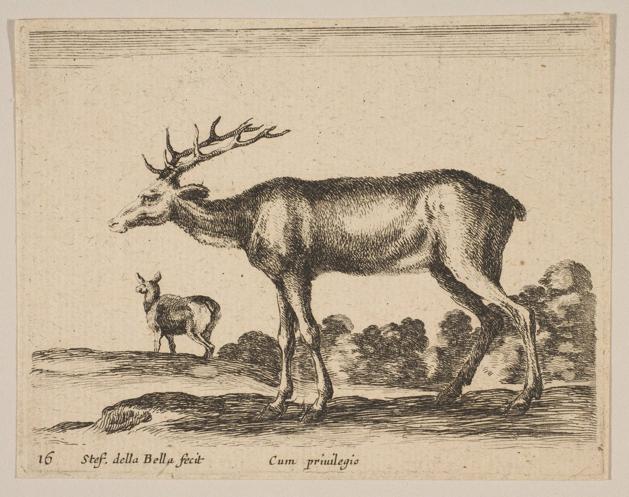 Tallrik 16: hjort, från Diverse djur Diversi animali, ca. 1641. av Stefano della Bella