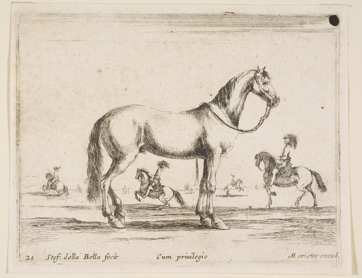 Plåt 21: häst, från Diverse djur Diversi animali, 1641. av Stefano della Bella
