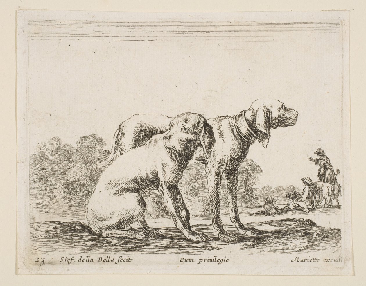 Plåt 23: två hundar, från Diverse djur Diversi animali, ca. 1641. av Stefano della Bella