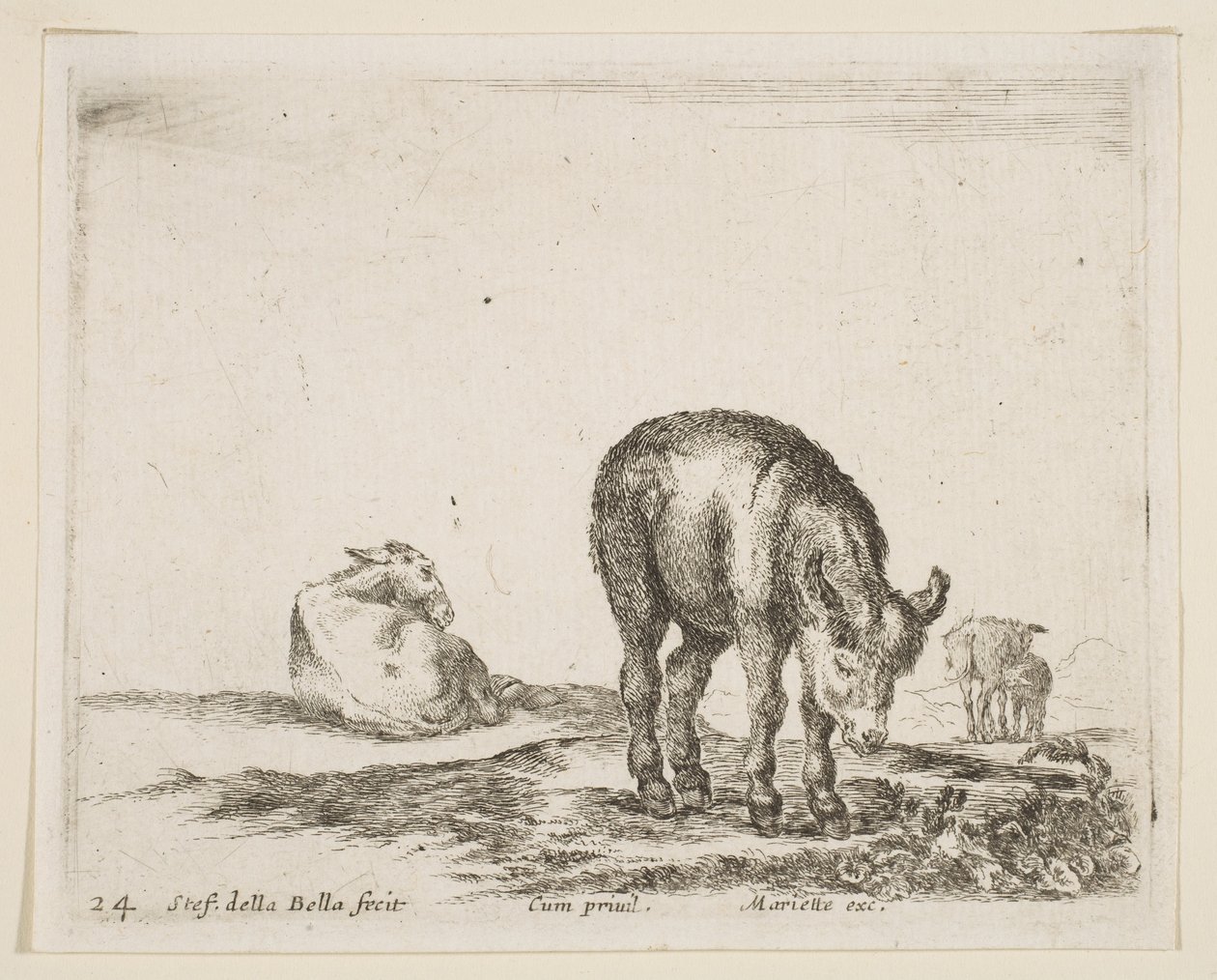 Tallrik 24: åsnor, från Diverse djur Diversi animali, ca. 1641. av Stefano della Bella